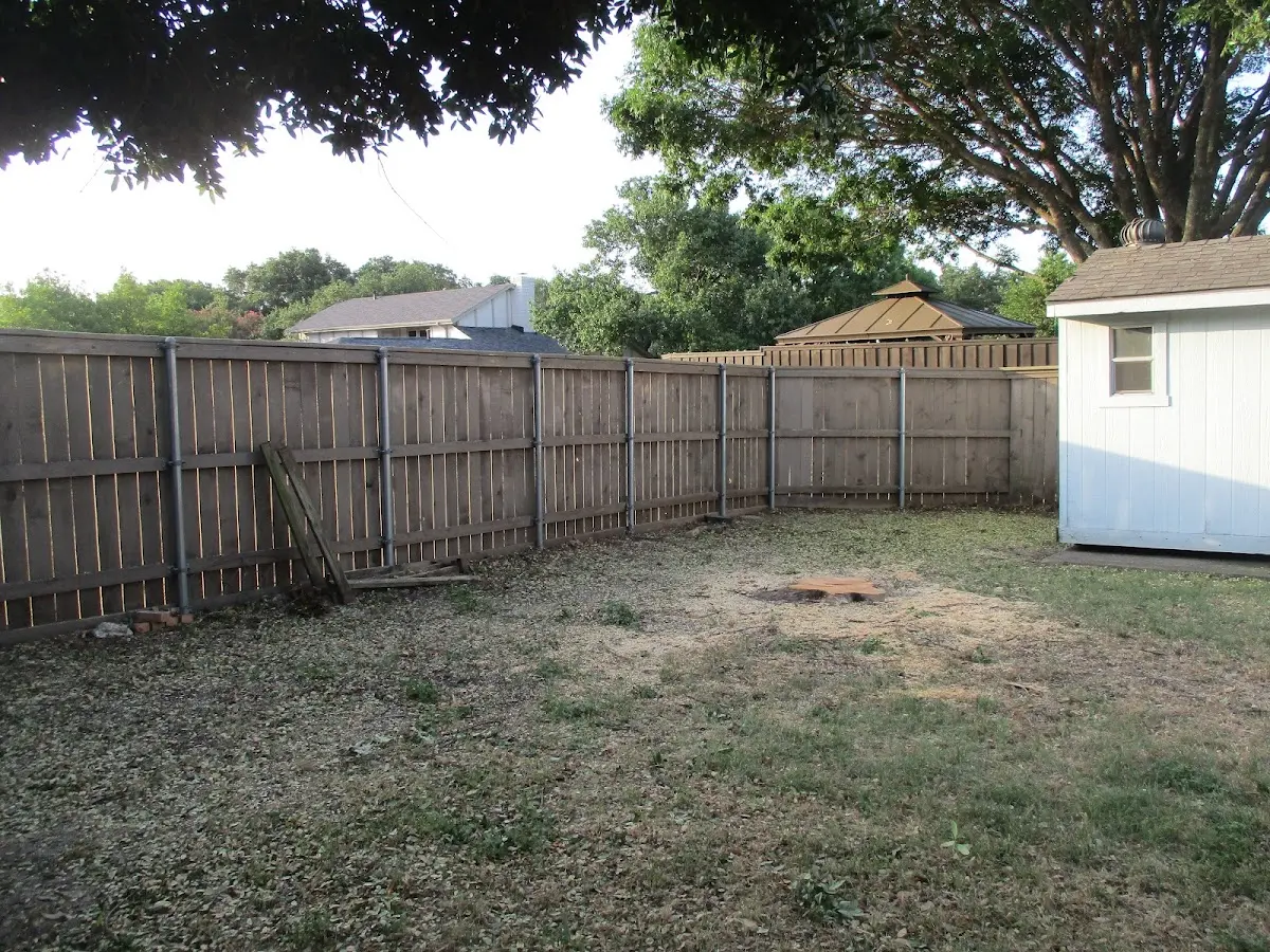 Cleared yard after professional tree removal in Huntingtown