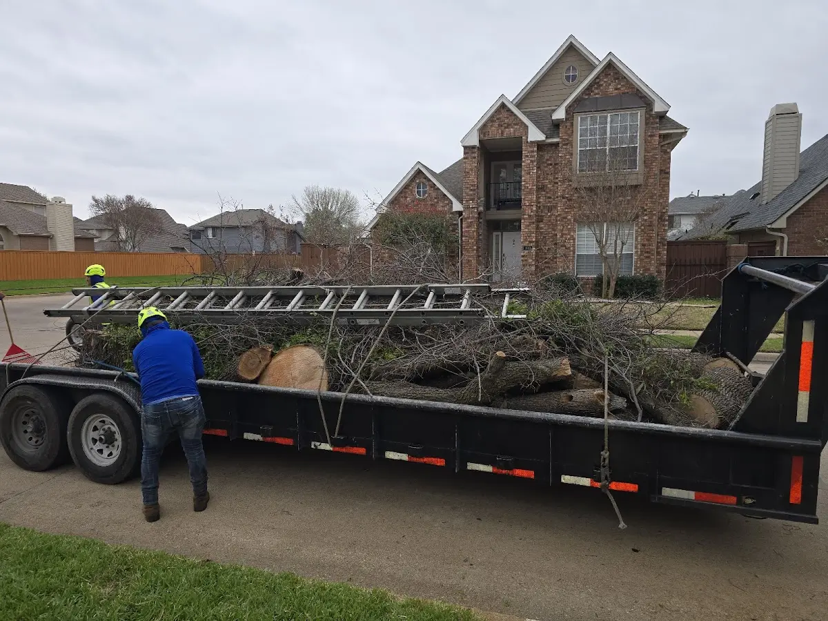 Expert Tree Pest Control with proper safety equipment in Huntingtown